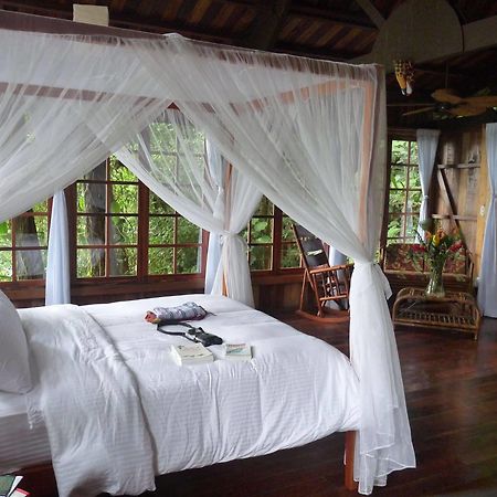 Rio Magnolia Nature Lodge Tinamaste المظهر الخارجي الصورة