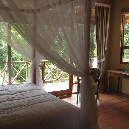 Rio Magnolia Nature Lodge Tinamaste المظهر الخارجي الصورة
