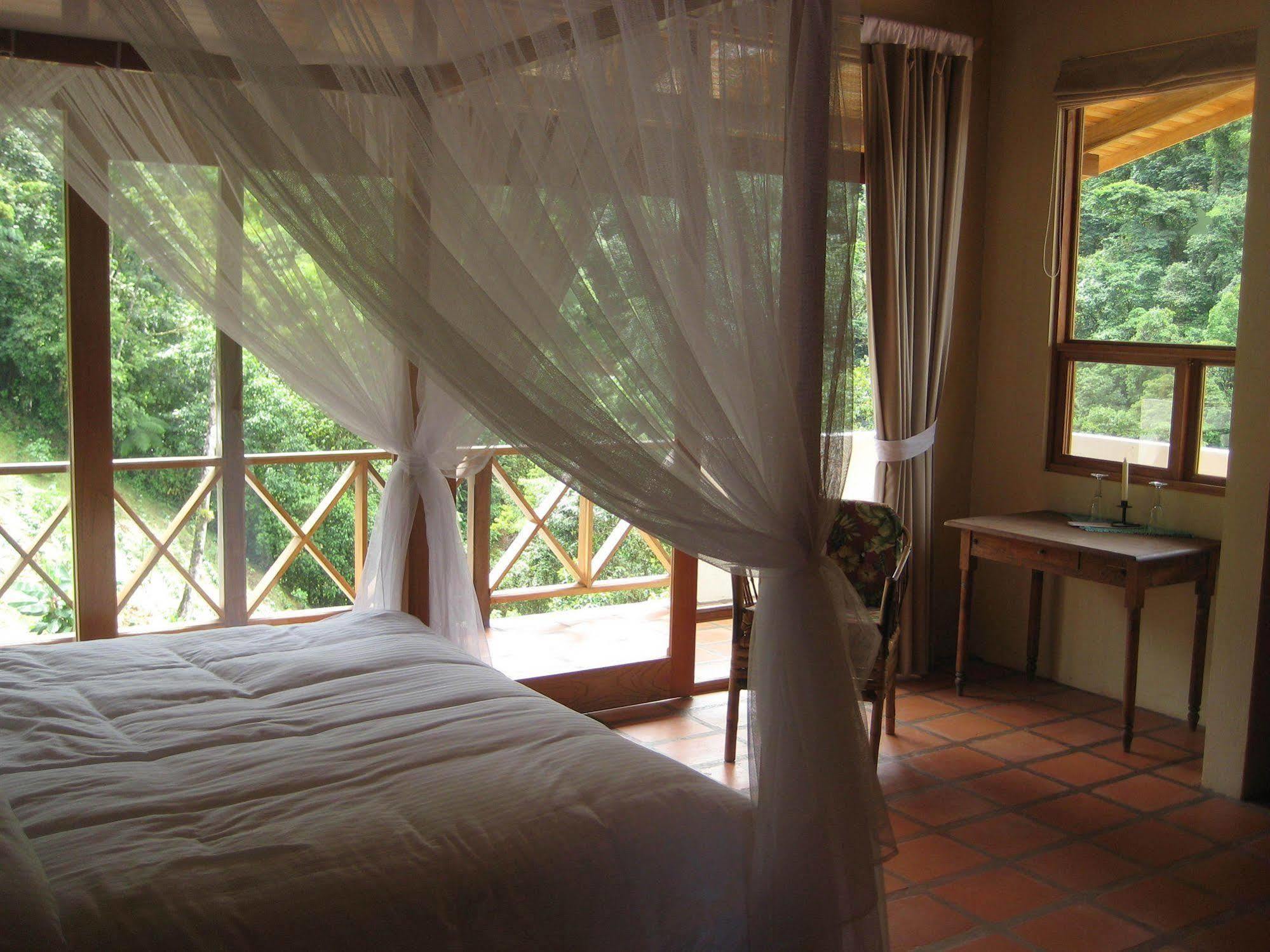 Rio Magnolia Nature Lodge Tinamaste المظهر الخارجي الصورة